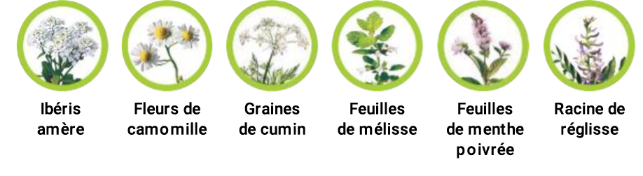 plants.png