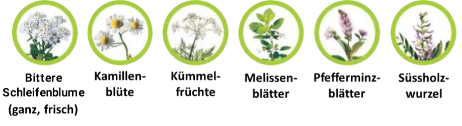 plants_1_de_v2.png