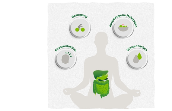 Infographic showing how exercising, eating balanced meals, drinking water and avoiding stress impact digestive health